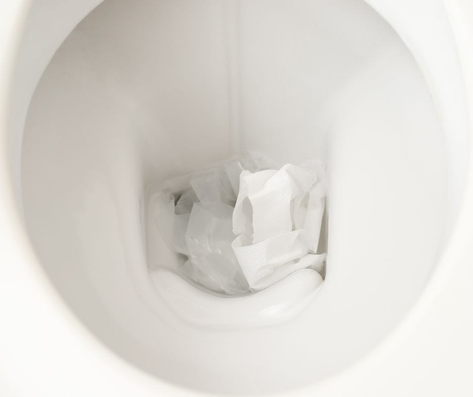 Toilet Paper in toilet